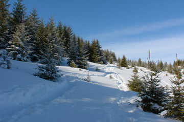 Fototapeta na wymiar Winter sunny day in the mountains