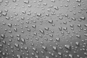 Water drops on gray background closeup grayscale selective focus, shallow depth of field