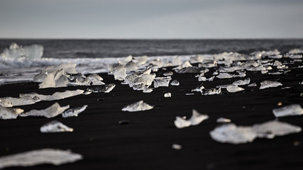 pieces of icebergs on the black beach, Iceland