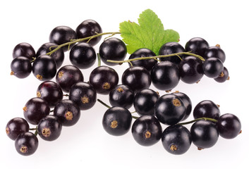 BLACKCURRANTS