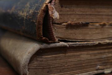 Yellowed pages of the old dilapidated book. Old book.