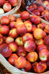 FRESH NECTARINES FOR SALE IN FRENCH MARKET