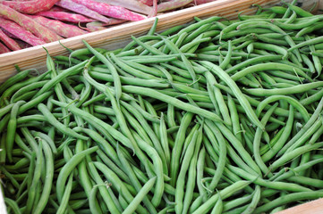 FRENCH BEANS