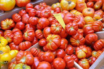 TOMATOES ON MARKET STALL
