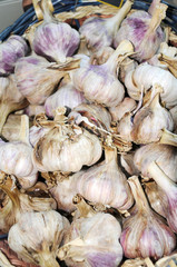 GARLIC ON MARKET STALL