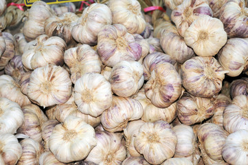 GARLIC ON MARKET STALL
