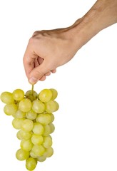 Hand Holding White Grape Cluster - Isolated