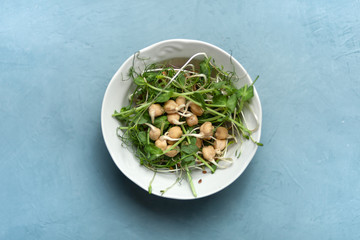 A plate of micro-green salad. Vegetarianism. Healthy diet