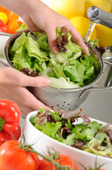 WASHING LETTUCE OR SALAD LEAVES