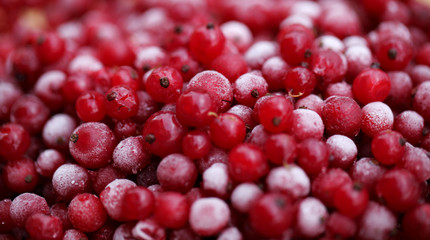 Frozen mixed berries as background. Currant mulberry texture pattern. Diet vegetarian food in winter.
