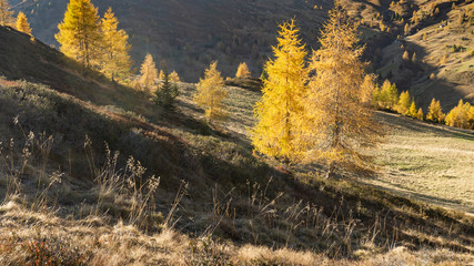 autunno alpe di siusi