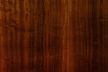 Polished wood texture. The background of polished wood texture. Texture-Dark-cherry - obrazy, fototapety, plakaty