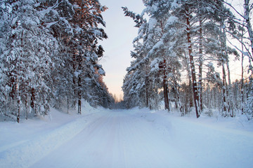 Зимняя дорога