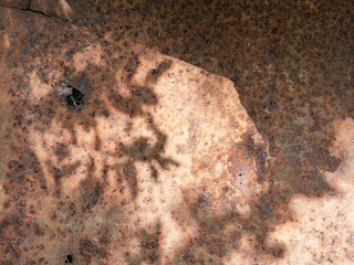 Red-brown texture of rusty metal with a shadow from the plant, in a natural environment