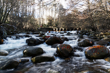 Rio. larga exposición, dia de invierno. Hojas rojas en las rocas