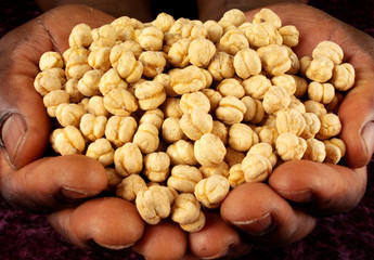 MAN HOLDING DRIED CHICKPEAS