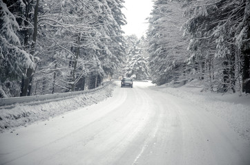 winter road through forest