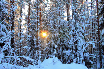 Зимнее солнце