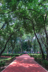 Fototapeta premium Running track path in a public park
