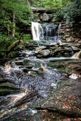 waterfall in the forest