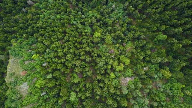 The Borjomi-Kharagauli National Park is a protected area in central Georgia, in Samtskhe-Javakheti situated in the Lesser Caucasus, southwest to the nation's capital of Tbilisi.
