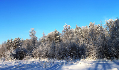Солнечный морозный день