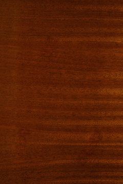 Polished wood texture. The background of polished wood texture. Texture-Dark-cherry