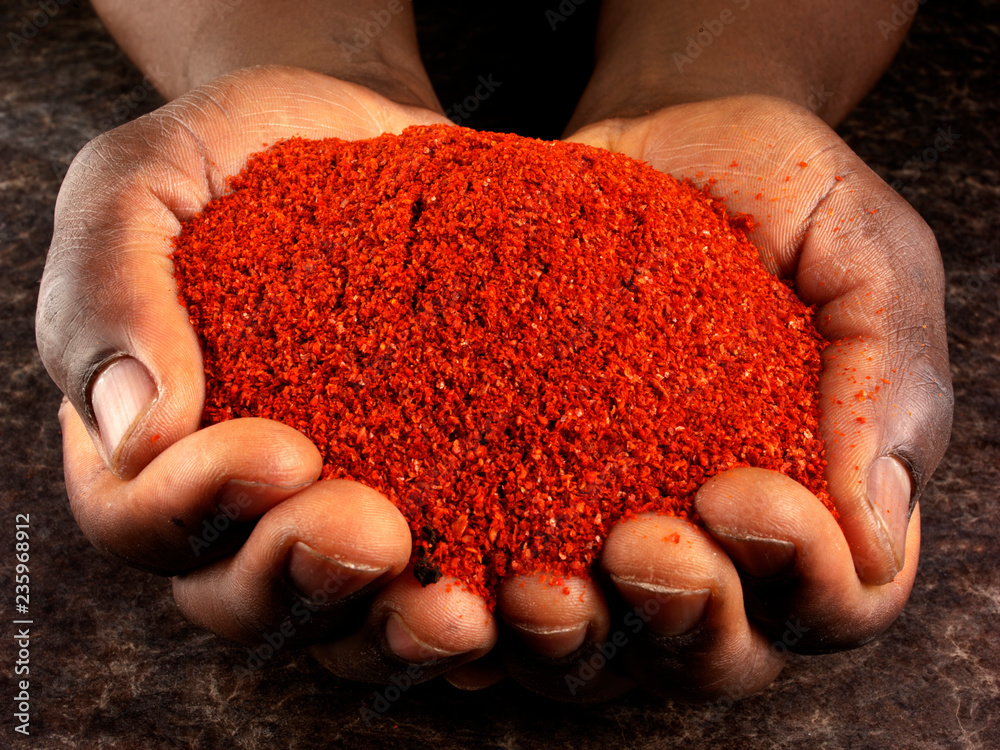 Wall mural MAN HOLDING CHILLI POWDER