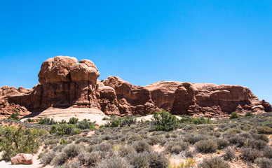 Fototapeta premium Utah, USA. Desiccated tree and desert landscape