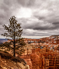 Bryce Canyon Park