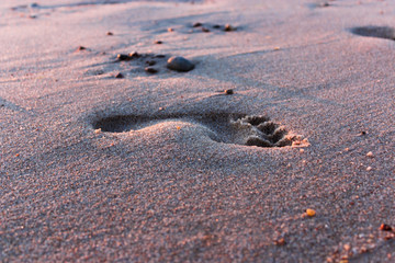Footprints in the sand