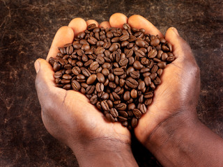 MAN HOLDING ROASTED COFFEE BEANS