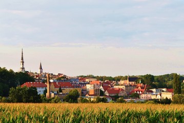 Fototapety na wymiar - Fototapeta24.pl
