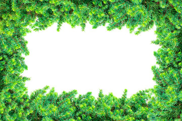 Fototapeta na wymiar Frame made of pine isolated on white background