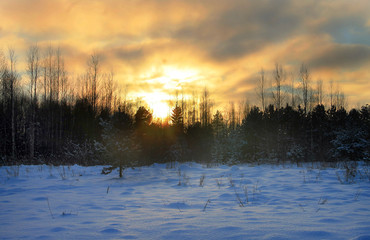 Закат над лесом 