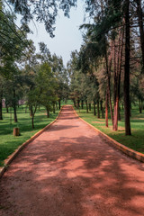 Running track path in a public park