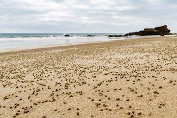 Spiagge nei dintorni di Puerto Lopèz, Ecuador