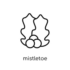 mistletoe icon from Christmas collection.