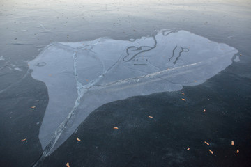 an air bubble under the ice