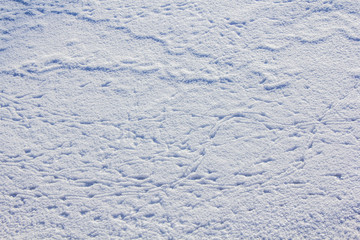Snow texture White background. Cold texture.Winter picture