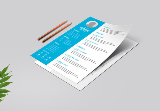 Resume Layout with Blue Sidebar