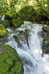 Landscape with Iskar Gorge and small waterfall at Vazova trail, Balkan Mountains, Bulgaria