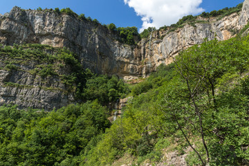 Fototapeta na wymiar Green forest around Waterfall Skaklya near village of Zasele at Vazov trail, Balkan Mountains, Bulgaria