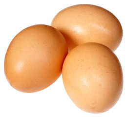 THREE BROWN EGGS CUT OUT