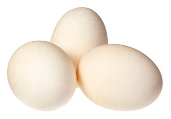 THREE WHITE EGGS CUT OUT