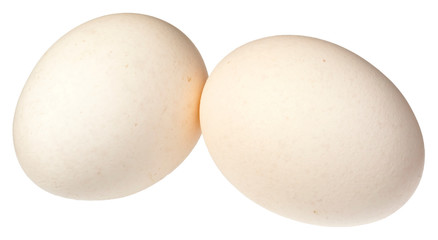 TWO WHITE EGGS CUT OUT