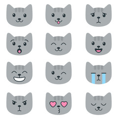 Grey cats with different emotions isolated on white