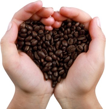Hands Holding Coffee Beans Forming Heart