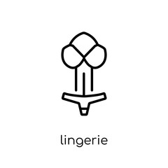 Lingerie icon from Clothes collection.