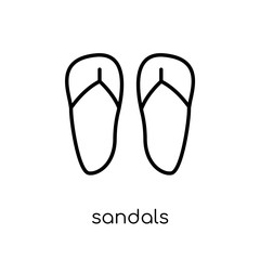 Sandals icon from collection.